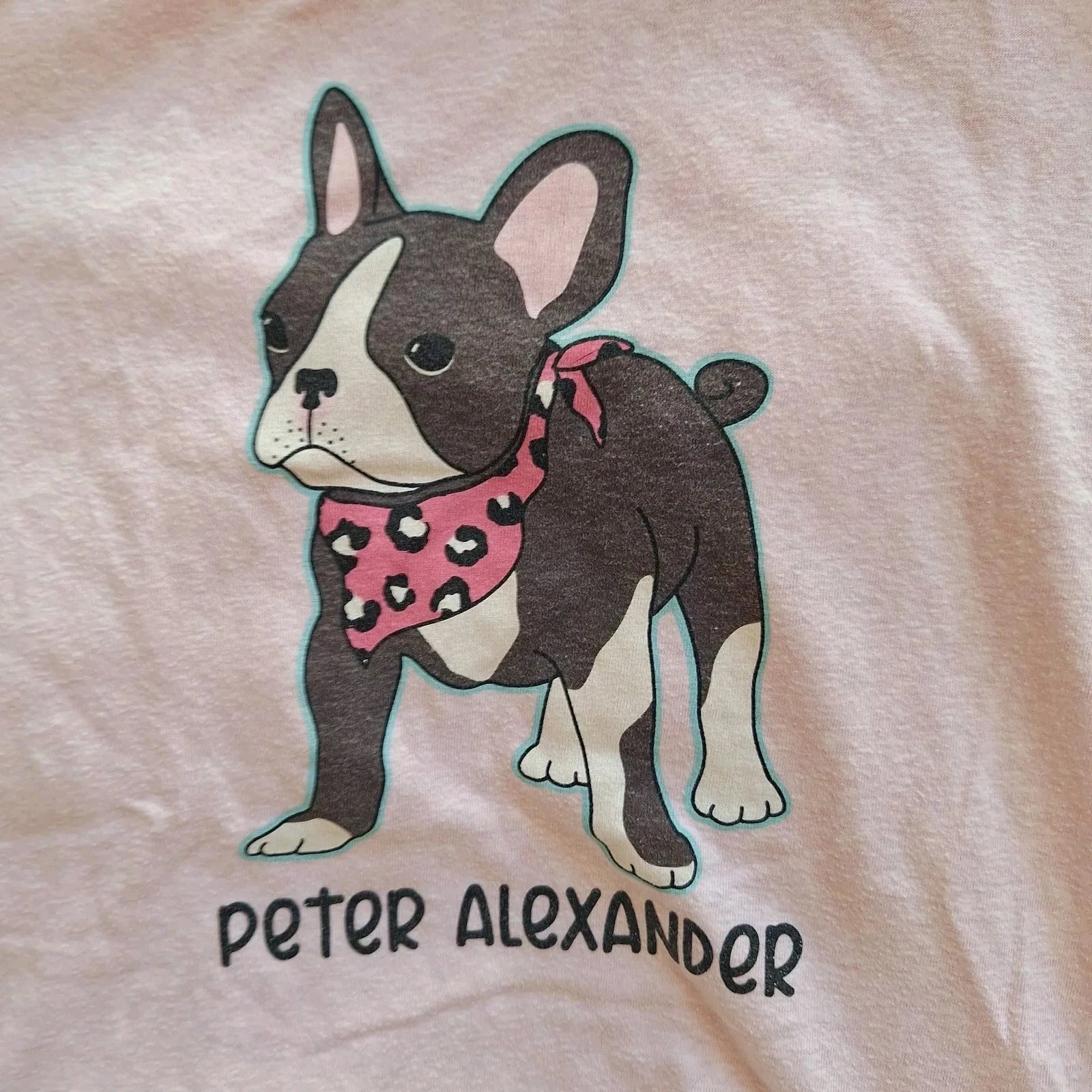 Peter Alexander Pug pyjama top Size S & Bottoms Size XS Set Shorts Dog